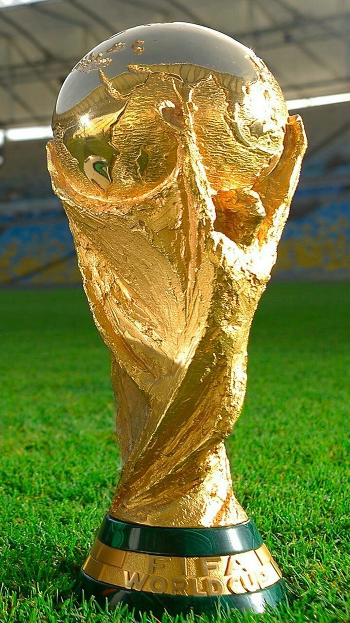 Cup