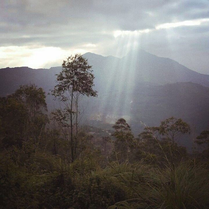 morning sunlight showers