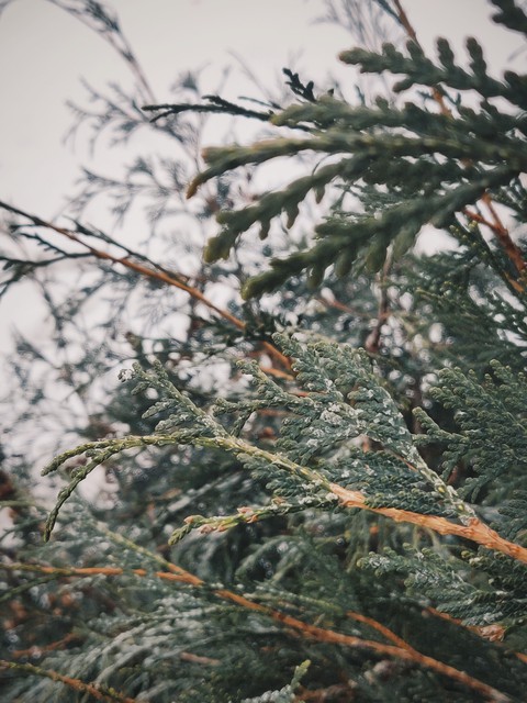 winter is coming