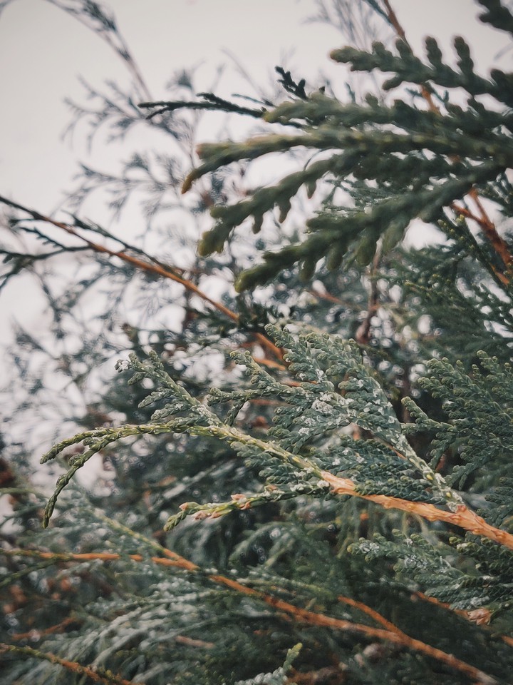 winter is coming