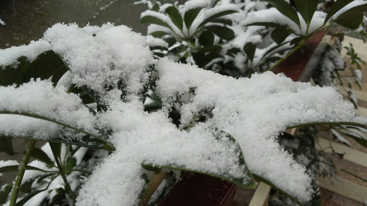 Snow day !!!!