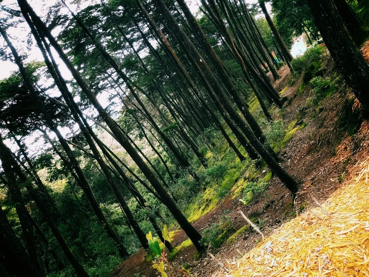parque