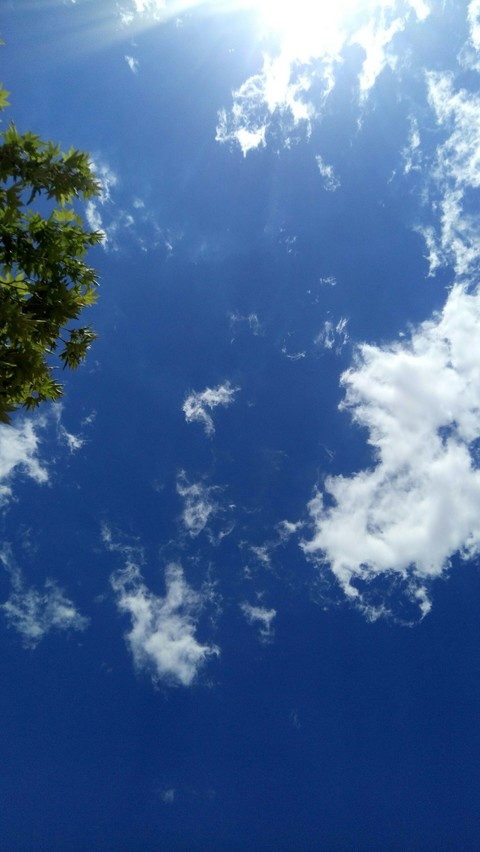 blue sky of Shiraz, Iran