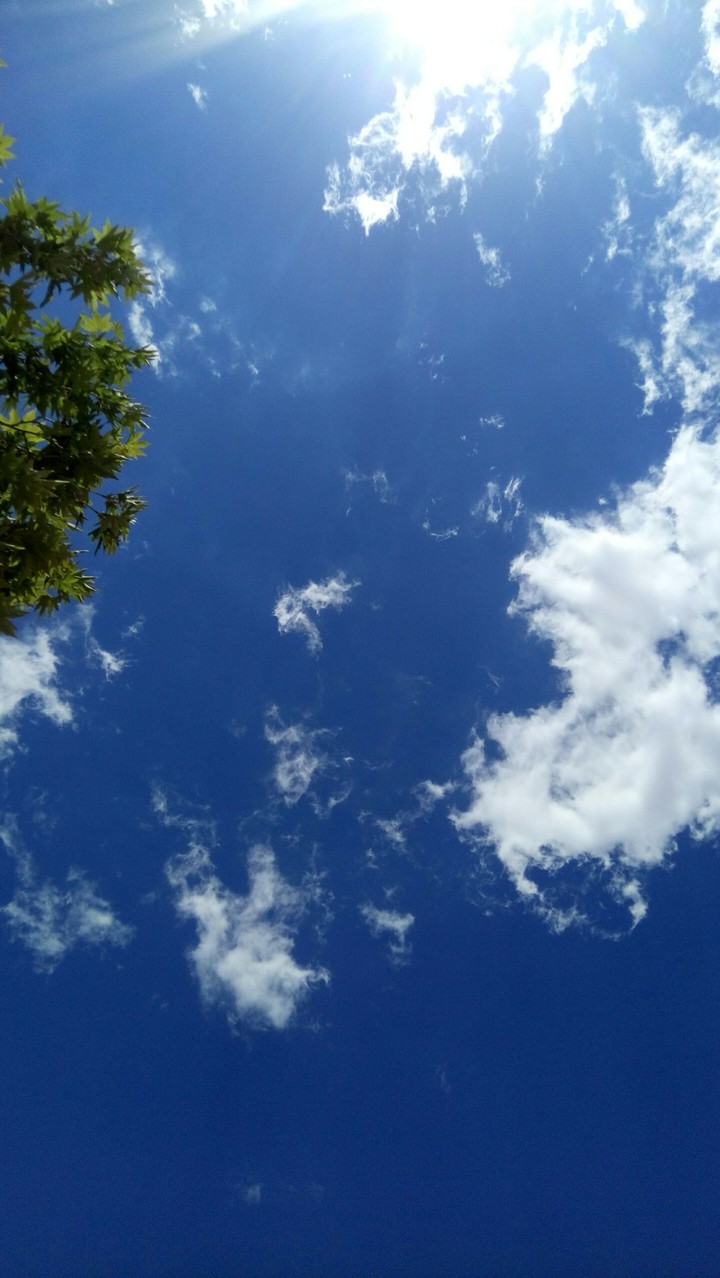blue sky of Shiraz, Iran