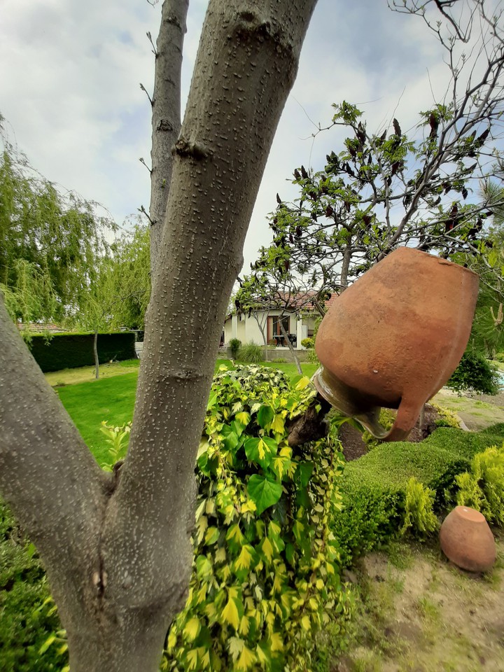 green home