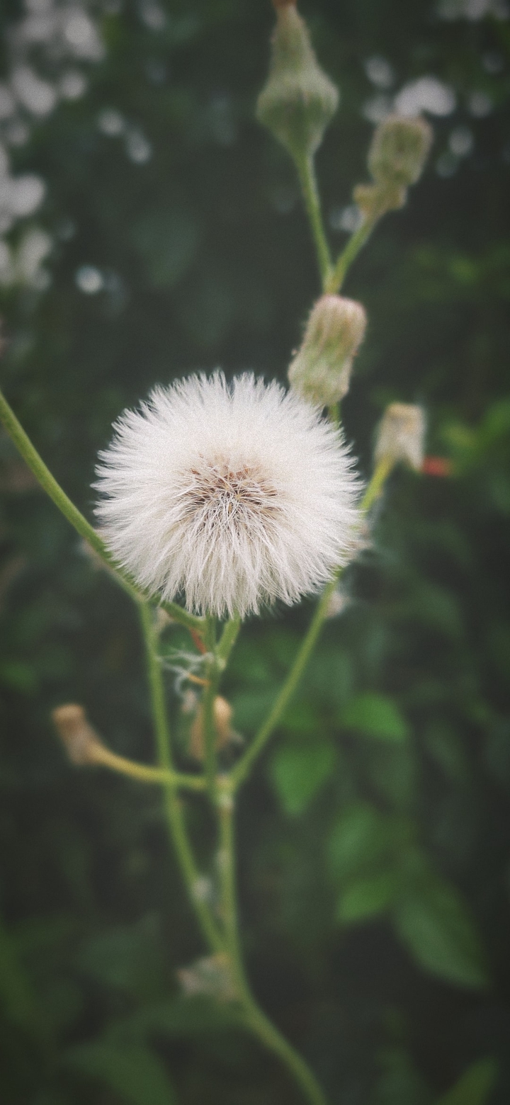 Nature
