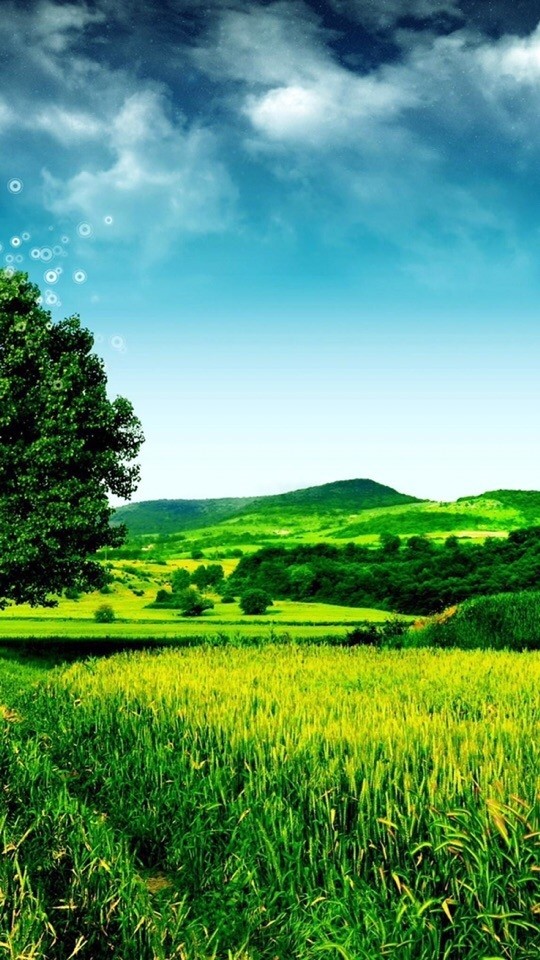 Nature