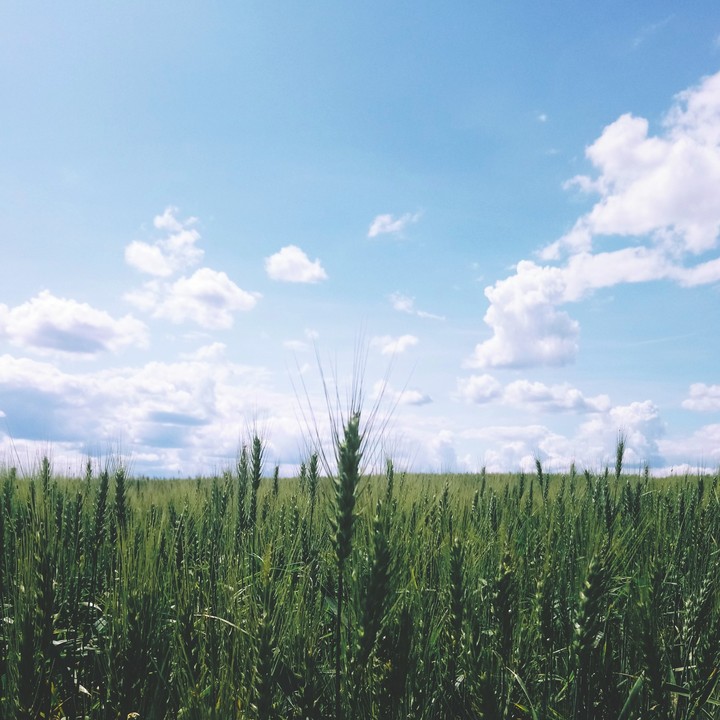 Lost in Latvian countryside.