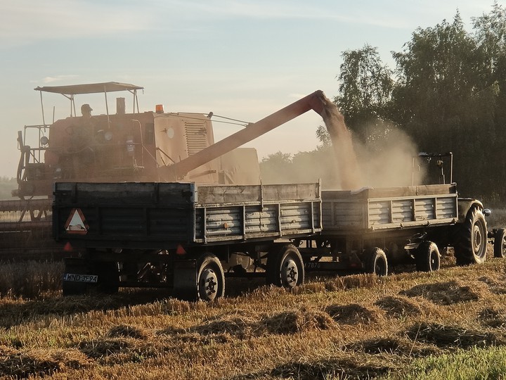 harvest