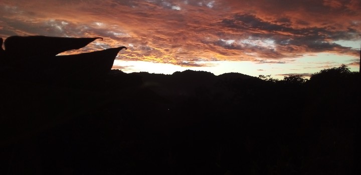 sfondi landscape, sunset