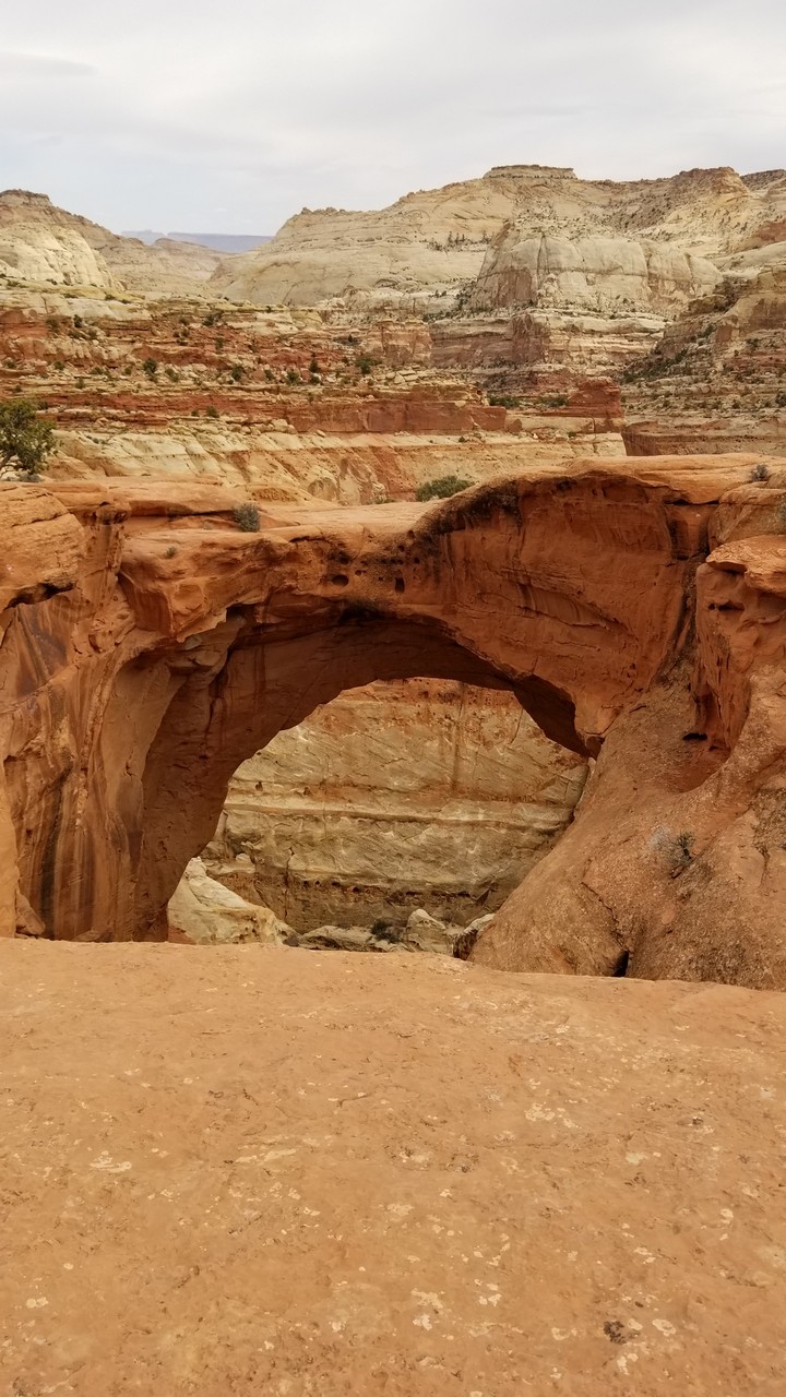 Beautiful Arch