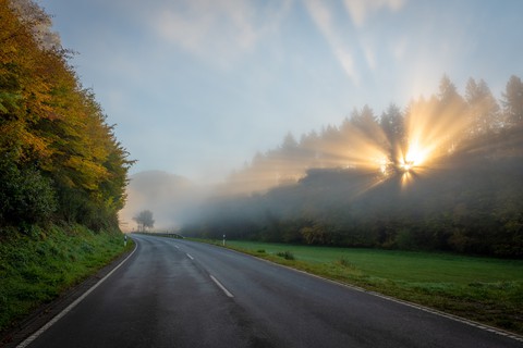 Sunbeams in the morning