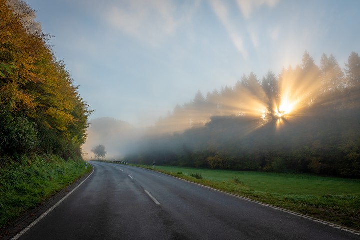 Sunbeams in the morning