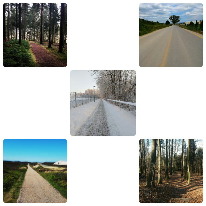 Welcher Weg wollen Sie gehen?
