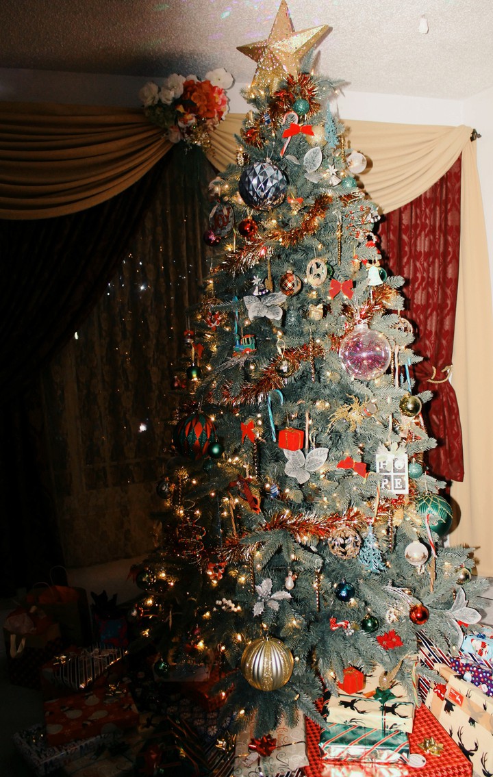 Christmas Tree 2019
