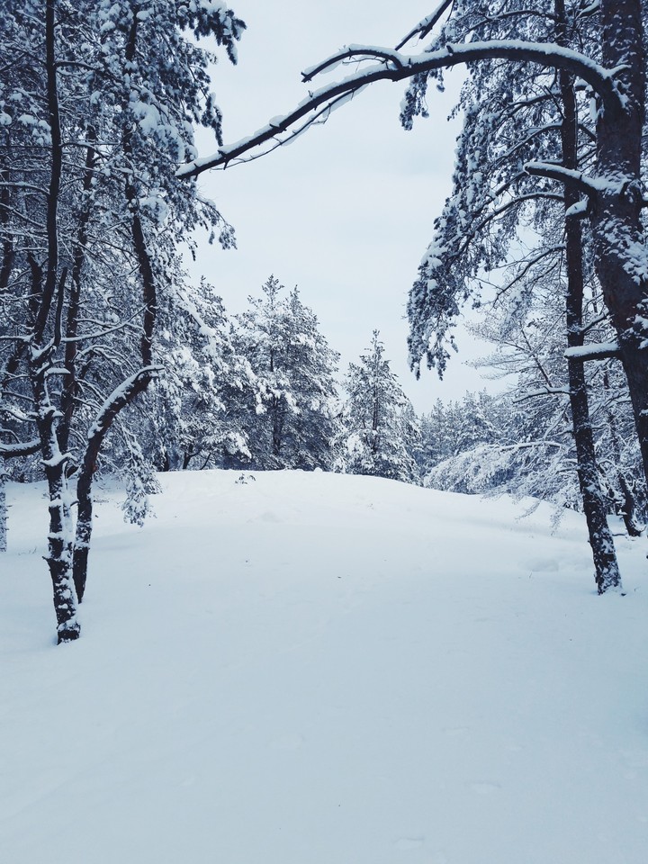 Beautiful winter
