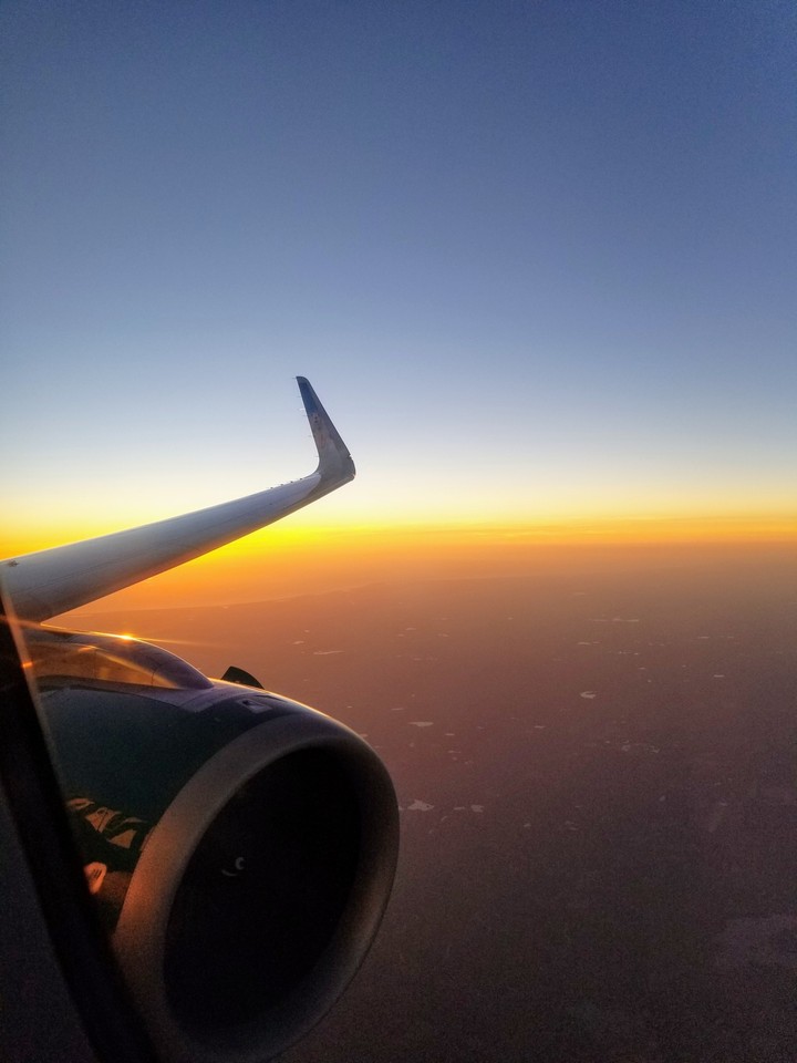 take flight