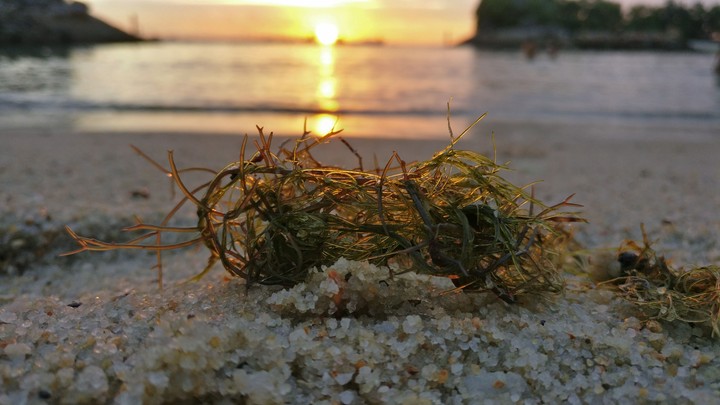 seashore
