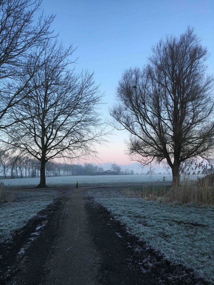 Path to the snow