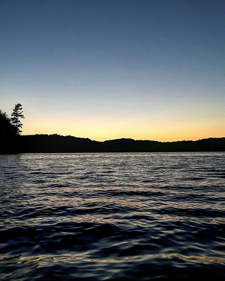 cotty