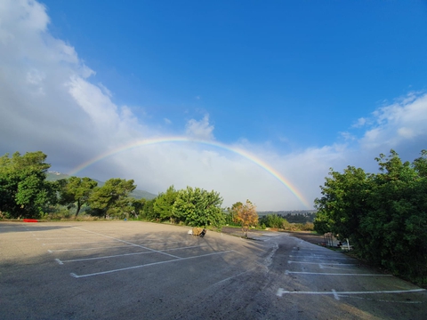 college rainbow