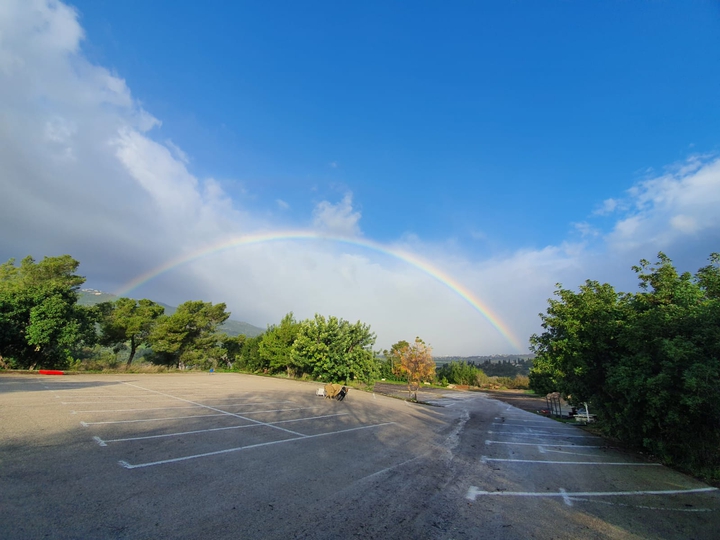 college rainbow