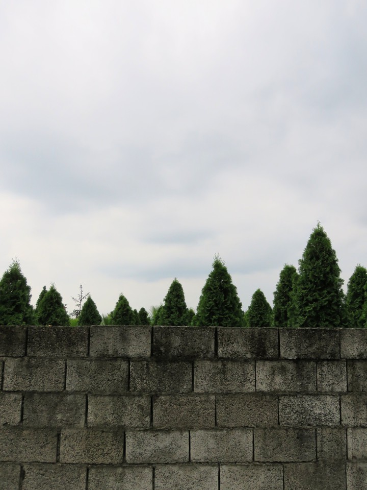 wall