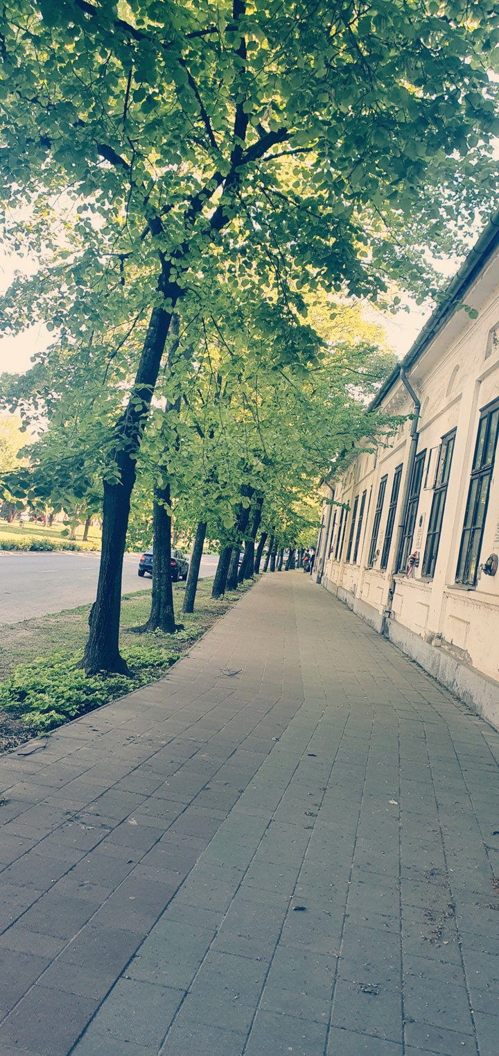 Walk