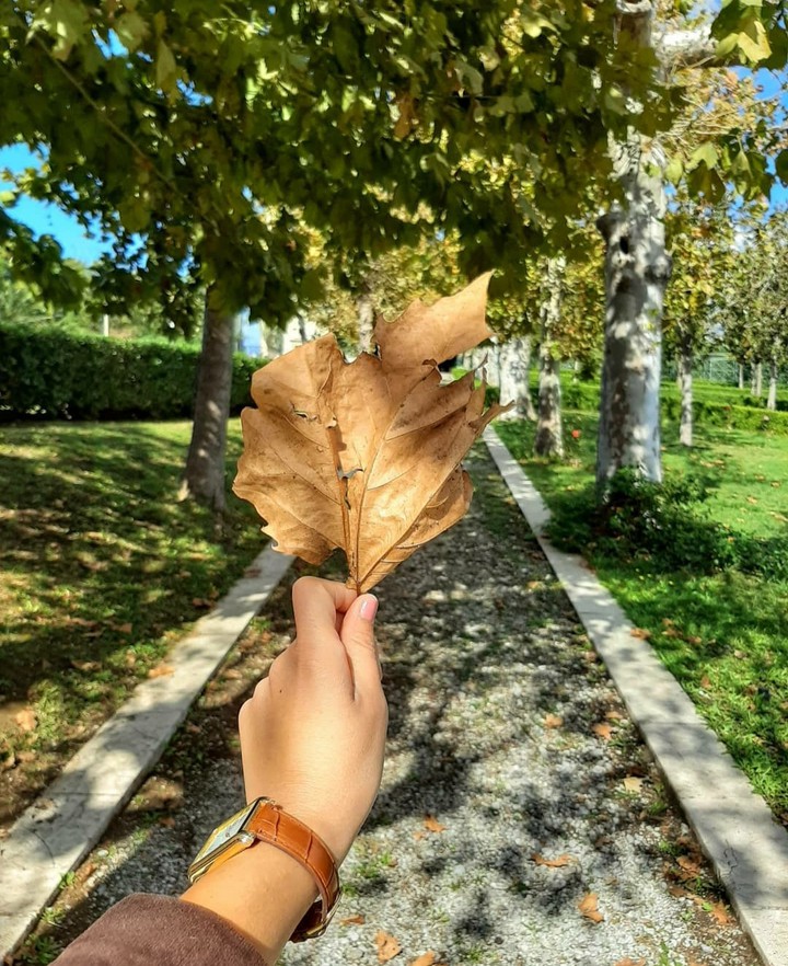 Fall