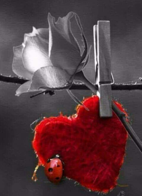 ❤
