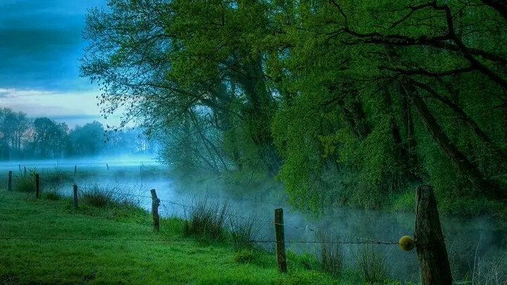 Nature