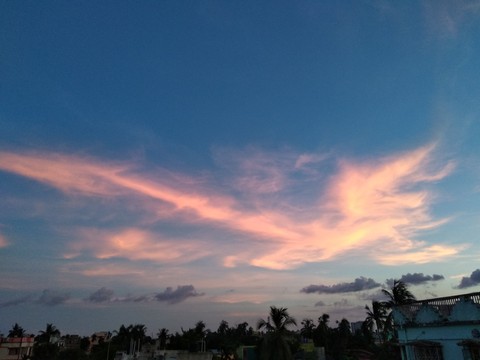Phoenix