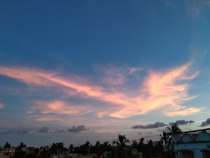 Phoenix