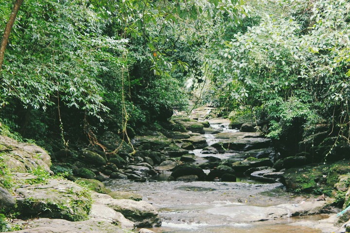 small stream