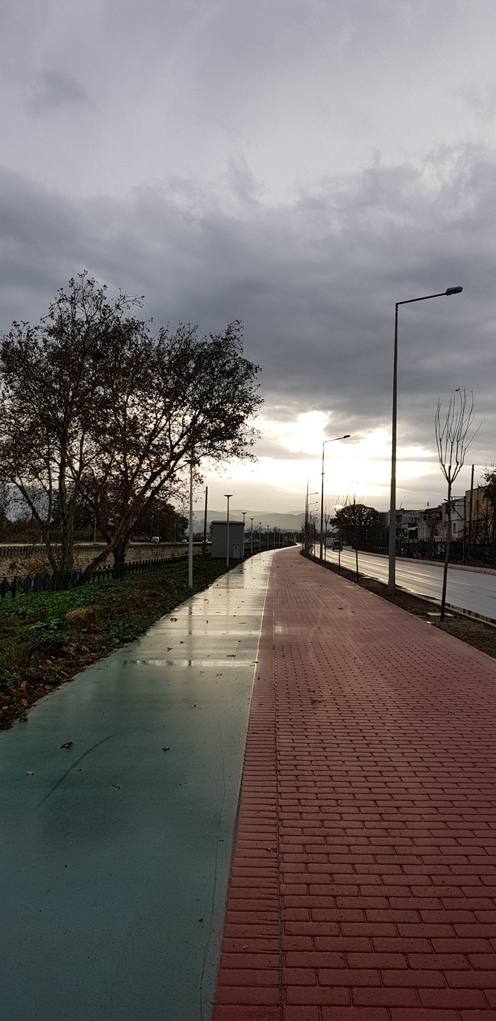 bursa