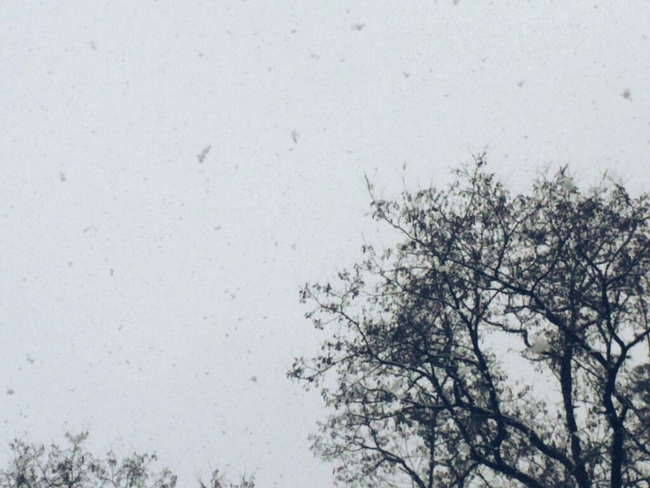 snow