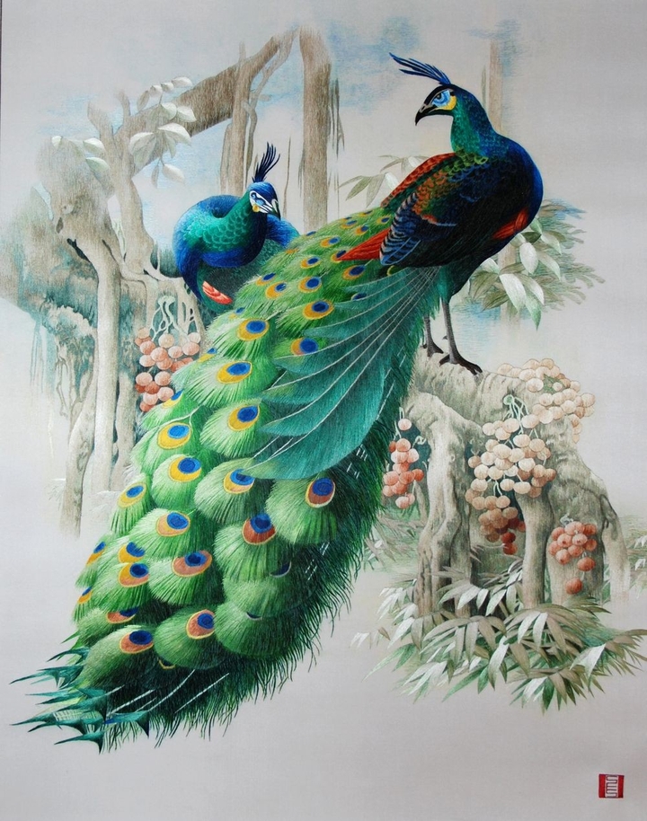 peacock páv