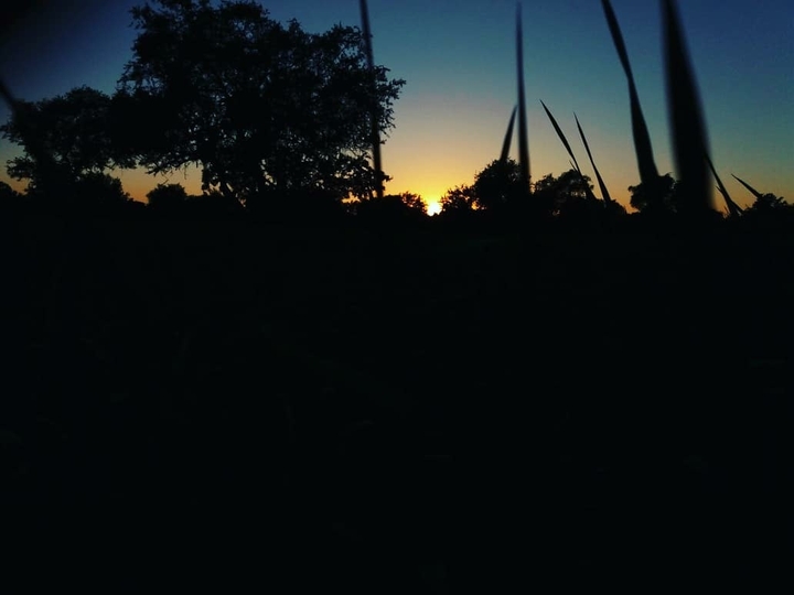 Beautiful sunset