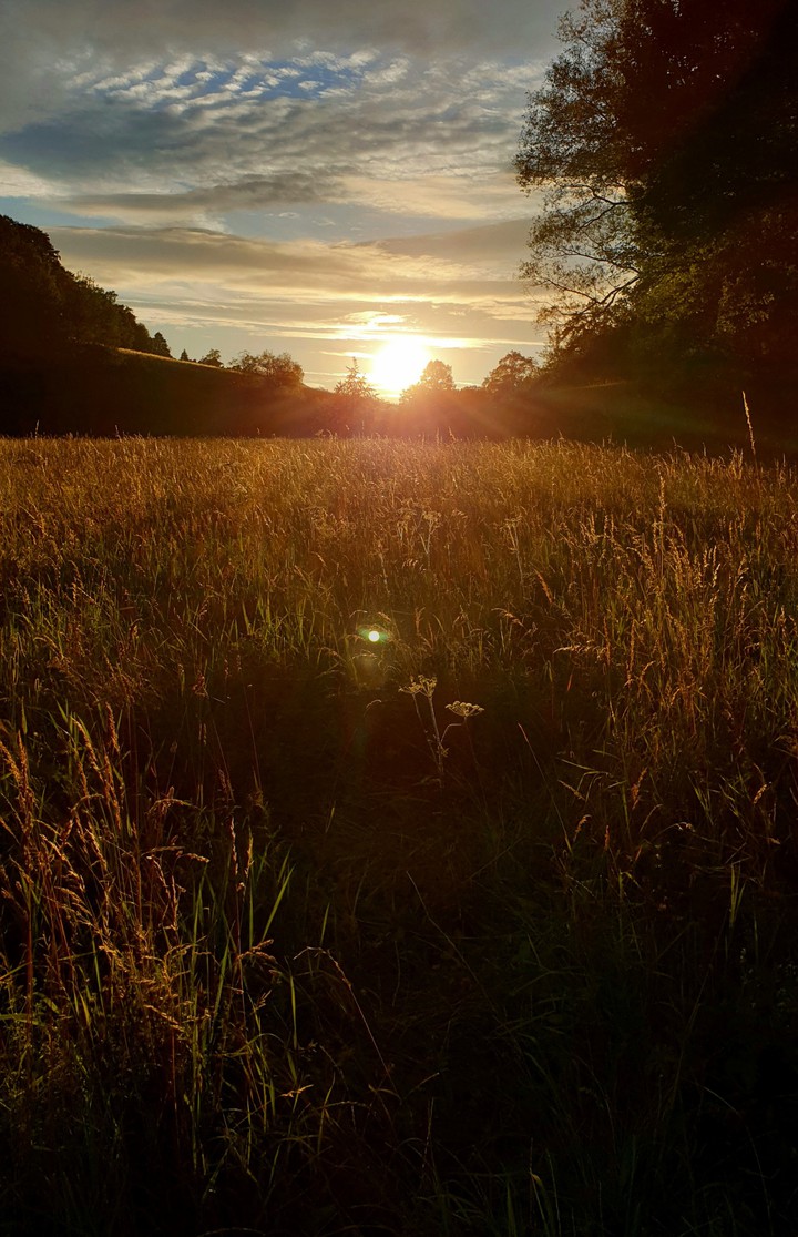 Golden hour
