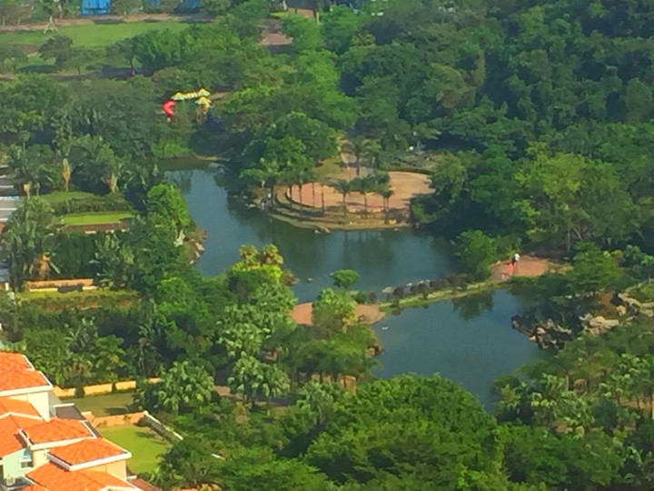 park