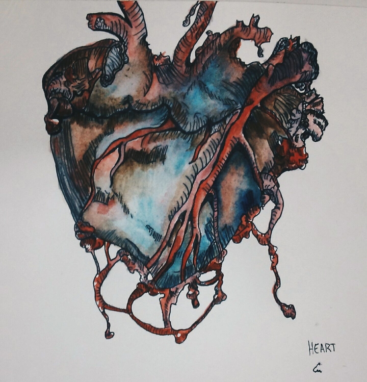 heart