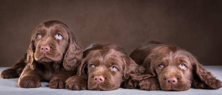 so cute