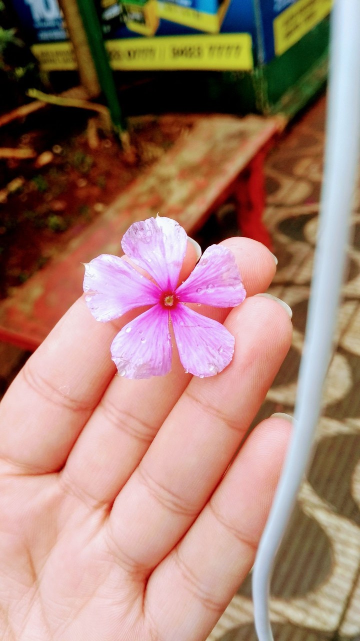 flor