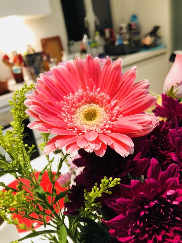 flowers