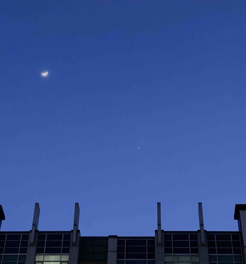 Moon