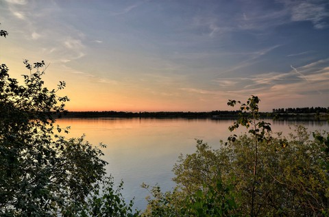 plant, lake achtergronden