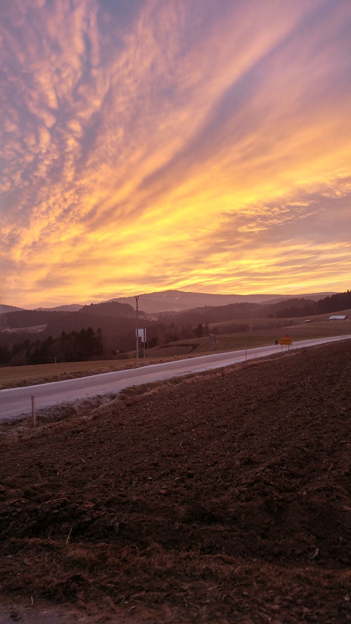 sunset