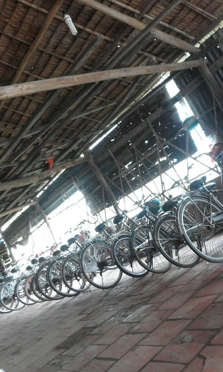 Bicycle