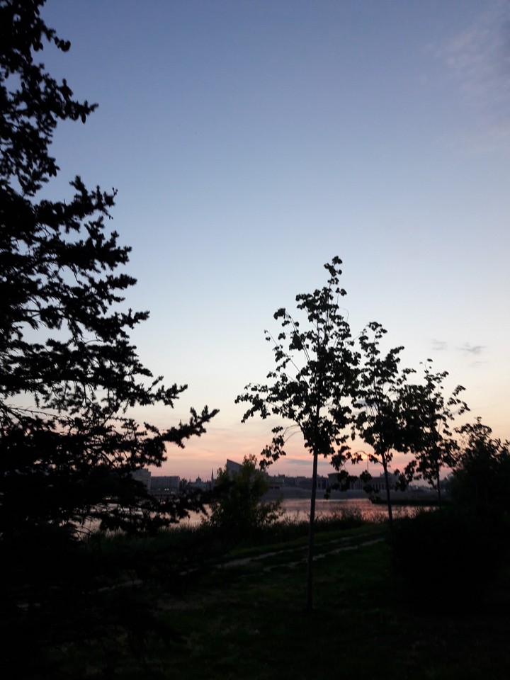 Sky