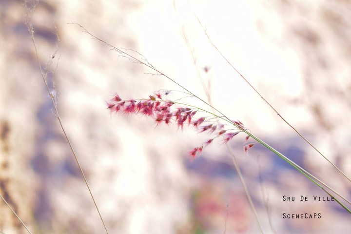 flora